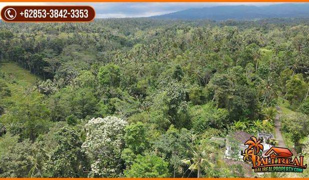 Ada Air Terjun Luas 11,000 m2 di Penebel Tabanan