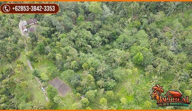 Ada Air Terjun Luas 11,000 m2 di Penebel Tabanan