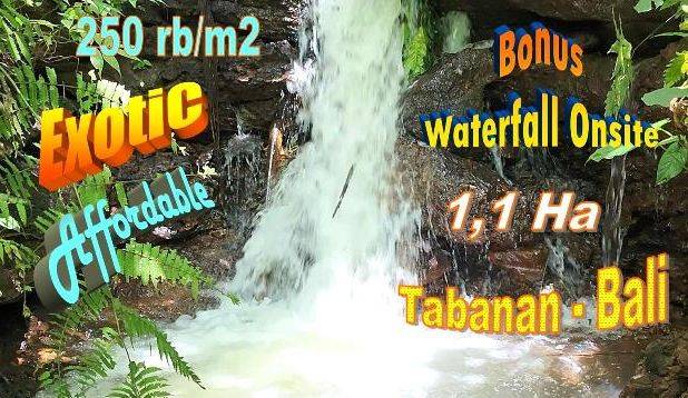 Ada Air Terjun Luas 11,000 m2 di Penebel Tabanan