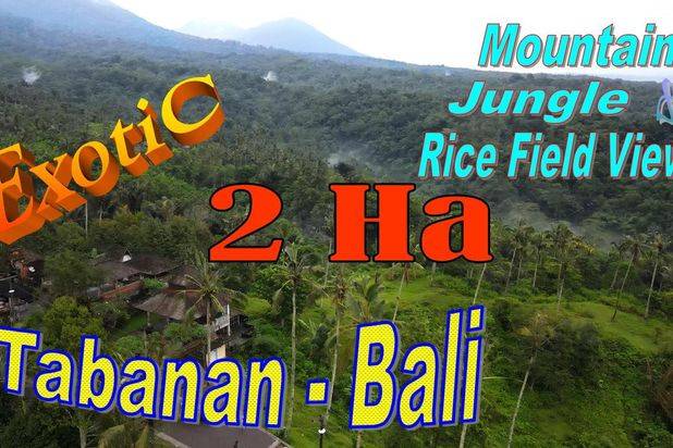 Pinggir Jalan Tanah Kebun 2 Ha untuk Investasi Properti di Bali