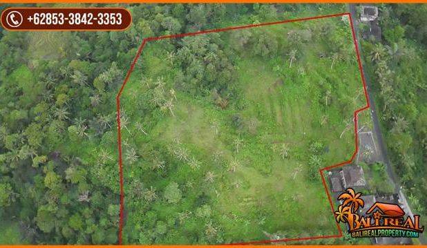 Pinggir Jalan Tanah Kebun 2 Ha untuk Investasi Properti di Bali