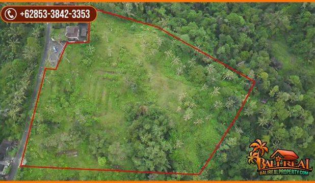 Pinggir Jalan Tanah Kebun 2 Ha untuk Investasi Properti di Bali