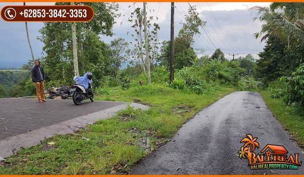 Pinggir Jalan Tanah Kebun 2 Ha untuk Investasi Properti di Bali