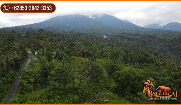 Pinggir Jalan Tanah Kebun 2 Ha untuk Investasi Properti di Bali