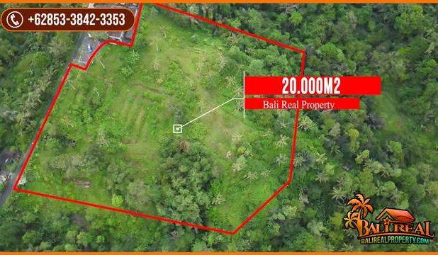 Pinggir Jalan Tanah Kebun 2 Ha untuk Investasi Properti di Bali