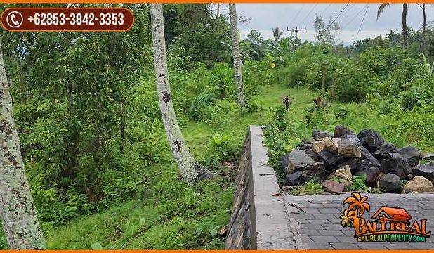 Pinggir Jalan Tanah Kebun 2 Ha untuk Investasi Properti di Bali