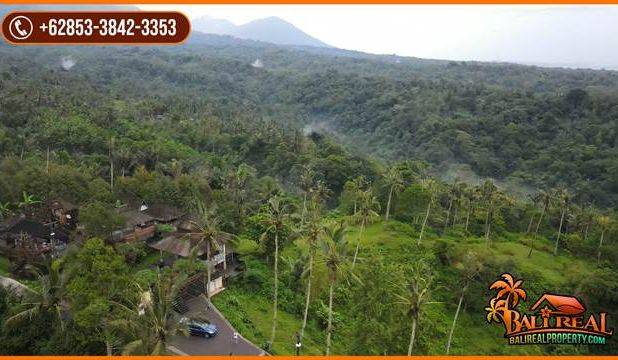 Pinggir Jalan Tanah Kebun 2 Ha untuk Investasi Properti di Bali