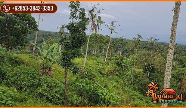 Pinggir Jalan Tanah Kebun 2 Ha untuk Investasi Properti di Bali