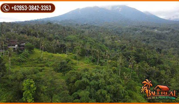 Pinggir Jalan Tanah Kebun 2 Ha untuk Investasi Properti di Bali