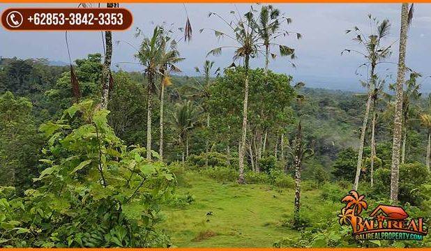 Pinggir Jalan Tanah Kebun 2 Ha untuk Investasi Properti di Bali