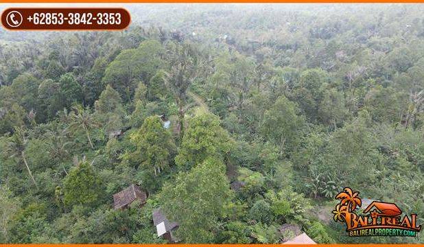 Tanah Bagus Kontur Datar Melandai 69 Are di Penebel Tabanan