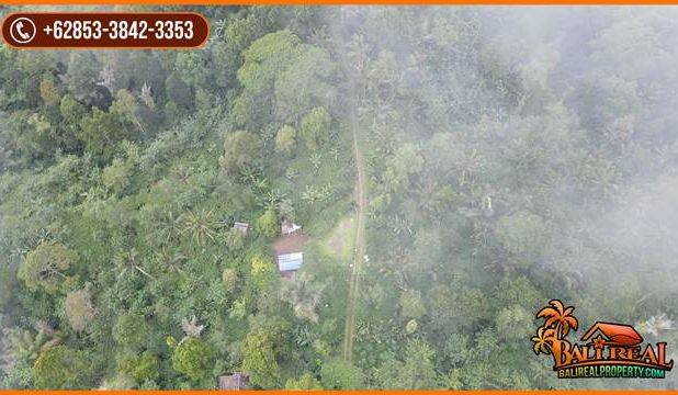 Tanah Bagus Kontur Datar Melandai 69 Are di Penebel Tabanan