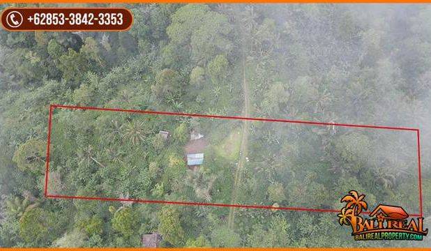 Tanah Bagus Kontur Datar Melandai 69 Are di Penebel Tabanan