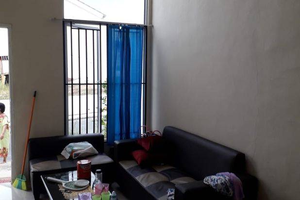 Rumah Botania Botania Saffron