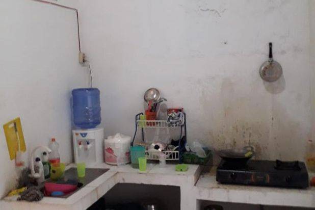 Rumah Botania Botania Saffron
