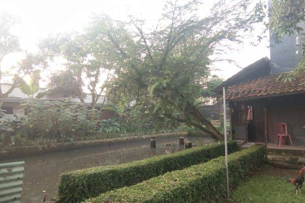 Jual Rumah Murah Dekat Kampus IPB Bogor