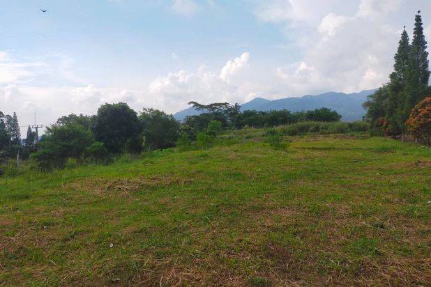 Jual Tanah Strategis di Kawasan Wisata Taman Safari Puncak PR1961