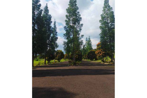 Jual Tanah Strategis di Kawasan Wisata Taman Safari Puncak PR1961