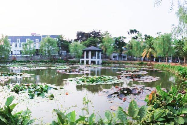 Dijual Rumah Cantik 3 lantai ready Konsep Split Level Dengan Lake view di Jagakarsa