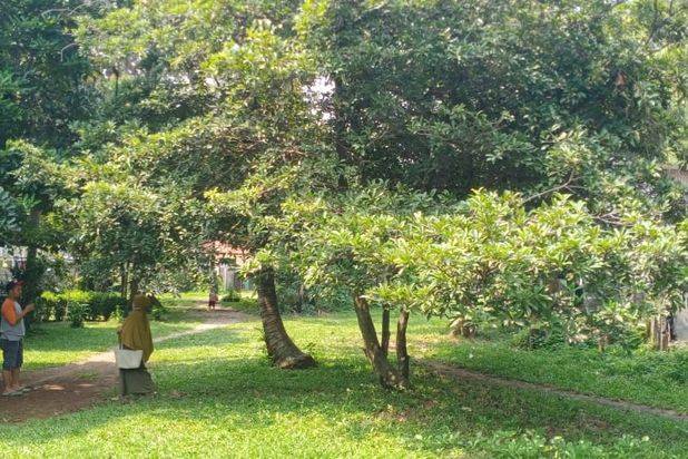 Tanah Pamulang Murah 7 Menit Ke Kantor Walikota