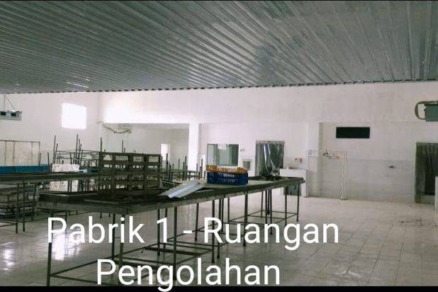 PABRIK SEAFOOD SIAP PAKAI DI SULAWESI SELATAN (+/- 90 MENIT DARI MAKASSAR)