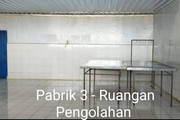 PABRIK SEAFOOD SIAP PAKAI DI SULAWESI SELATAN (+/- 90 MENIT DARI MAKASSAR)
