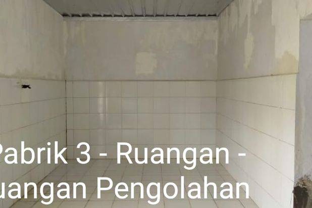 PABRIK SEAFOOD SIAP PAKAI DI SULAWESI SELATAN (+/- 90 MENIT DARI MAKASSAR)