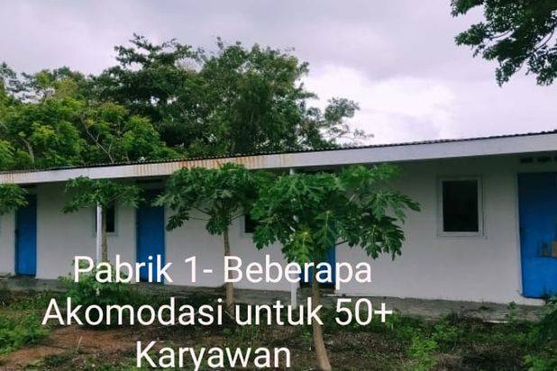 PABRIK SEAFOOD SIAP PAKAI DI SULAWESI SELATAN (+/- 90 MENIT DARI MAKASSAR)