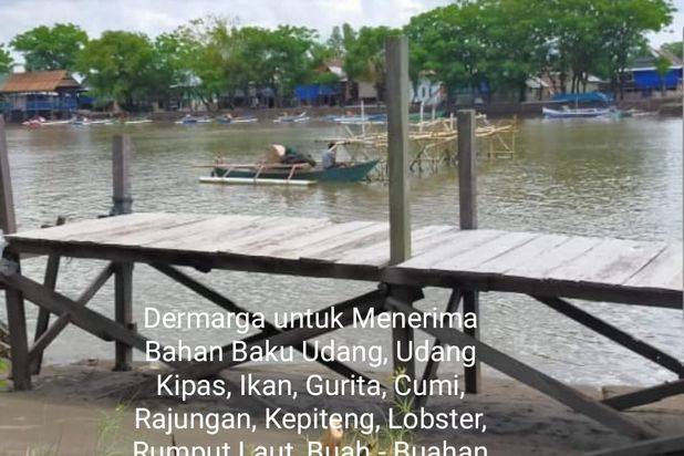 PABRIK SEAFOOD SIAP PAKAI DI SULAWESI SELATAN (+/- 90 MENIT DARI MAKASSAR)