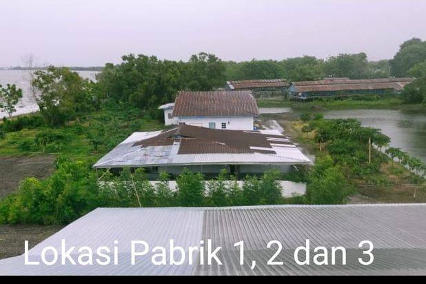 PABRIK SEAFOOD SIAP PAKAI DI SULAWESI SELATAN (+/- 90 MENIT DARI MAKASSAR)