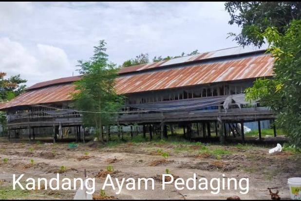 PABRIK SEAFOOD SIAP PAKAI DI SULAWESI SELATAN (+/- 90 MENIT DARI MAKASSAR)