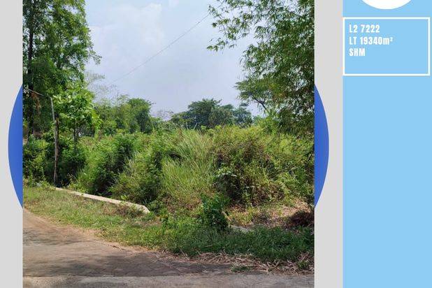 Tanah Luas Subur Cocok Untuk Pertanian di Pandaan Pasuruan