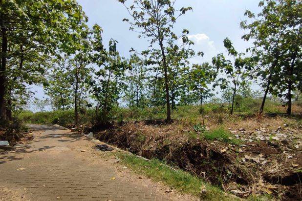 Tanah Luas Subur Cocok Untuk Pertanian di Pandaan Pasuruan