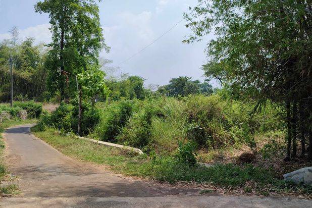 Tanah Luas Subur Cocok Untuk Pertanian di Pandaan Pasuruan