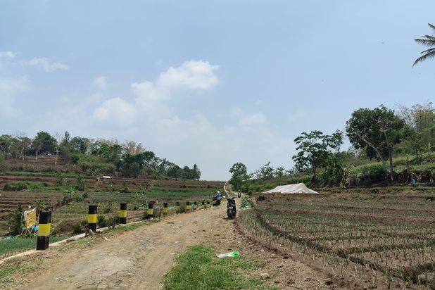 Tanah Subur Luas Murah Strategis di Junrejo Kota Batu