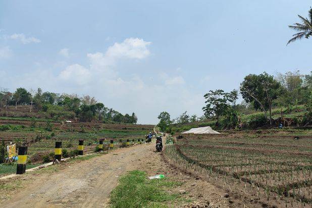 Tanah Subur Luas Murah Strategis di Junrejo Kota Batu