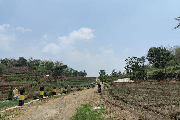 Tanah Subur Luas Murah Strategis di Junrejo Kota Batu