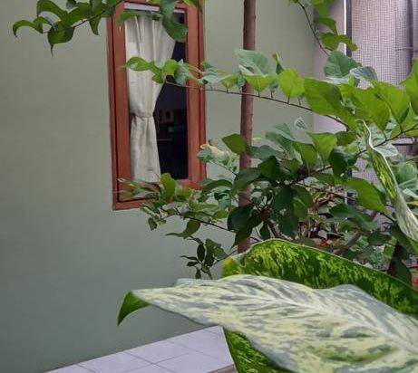 Rumah Luas Murah Strategis di Perumahan Oma View Malang