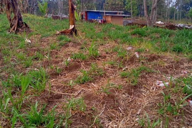 Tanah Luas Harga Murah Lokasi di Oro-Oro Ombo Batu