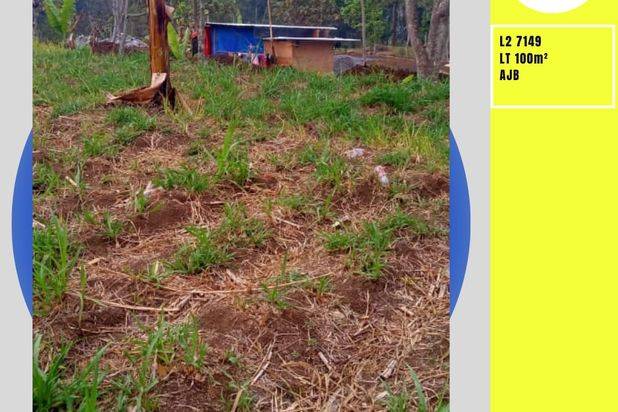 Tanah Luas Harga Murah Lokasi di Oro-Oro Ombo Batu