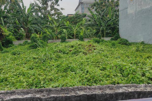 Kavling Kalijudan, Hadap Utara