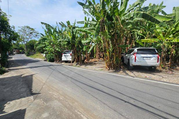 FREEHOLD Dijual Tanah Komersil Cocok Untuk Restoran/villa Komersil/homestay Dan Usaha Lain Nya