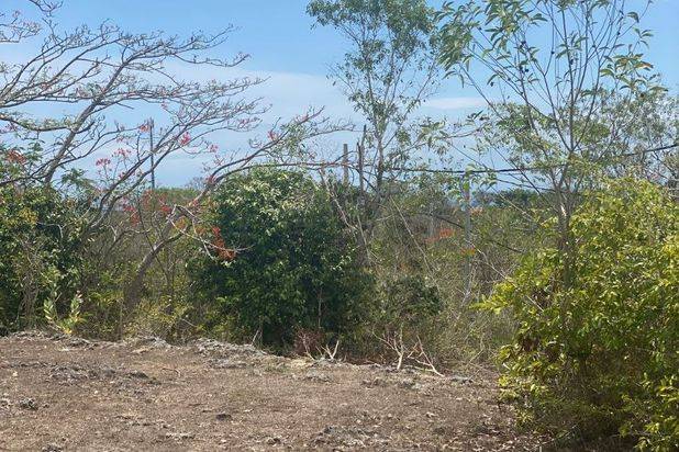 Dijual Segera Sebidang Tanah Kosong Kawasan Pariwisata Dekat Pantai Pandawa
