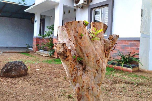 Rumah Bagus Strategis Siap Huni diWonorejo Gondangrejo Karanganyar(TN)