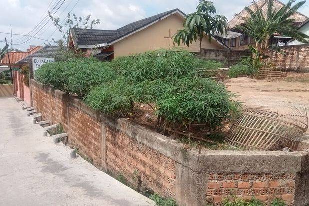 Dijual tanah murah siap bangun lokasi Pakjo
