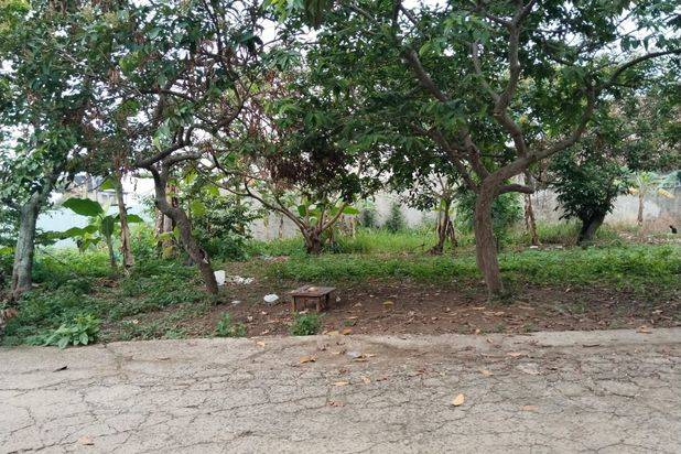 Dijual tanah murah siap bangun lokasi maskarebet depan sd