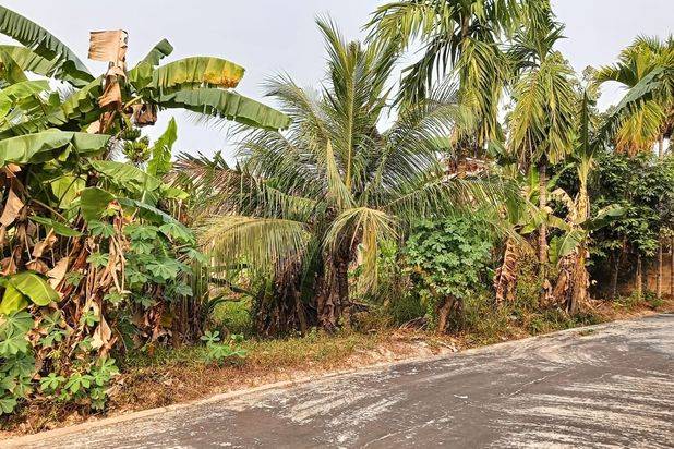 Dijual tanah murah daerah sukabangun lr pendidikan palembang