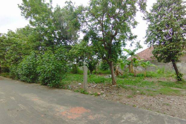 Dijual tanah murah Lokasi Maskerebet