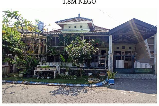Pondok Tjandra Indah Cluster Depan dkt Sportclub MERR Rungkut Purimas