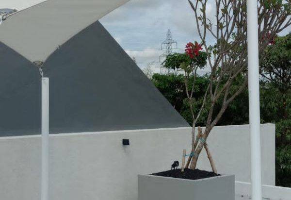 Rumah Taman Puspa Raya New Minimalis